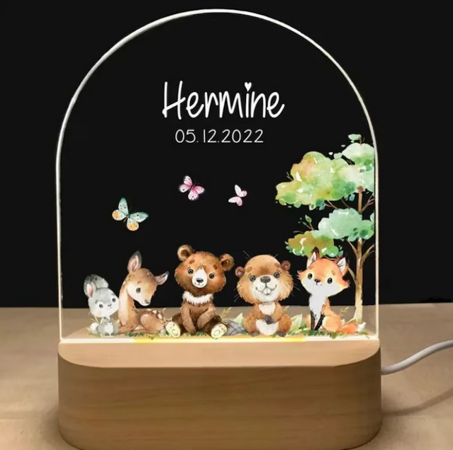 Custom Acrylic Night Lamp