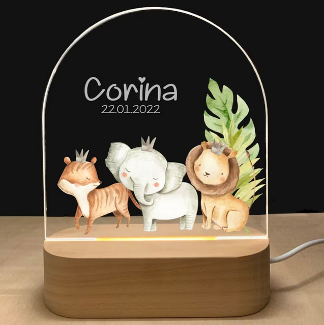 Custom Acrylic Night Lamp