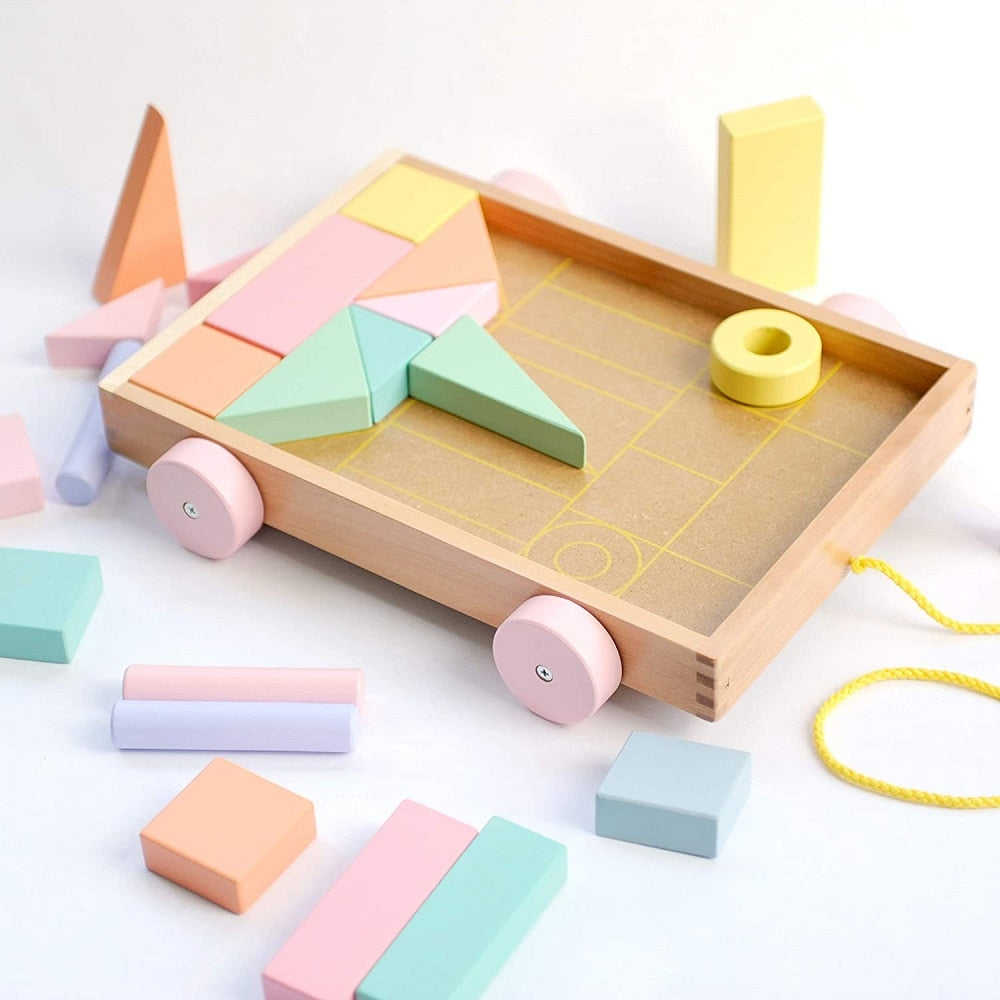 Montessori educational wooden toys