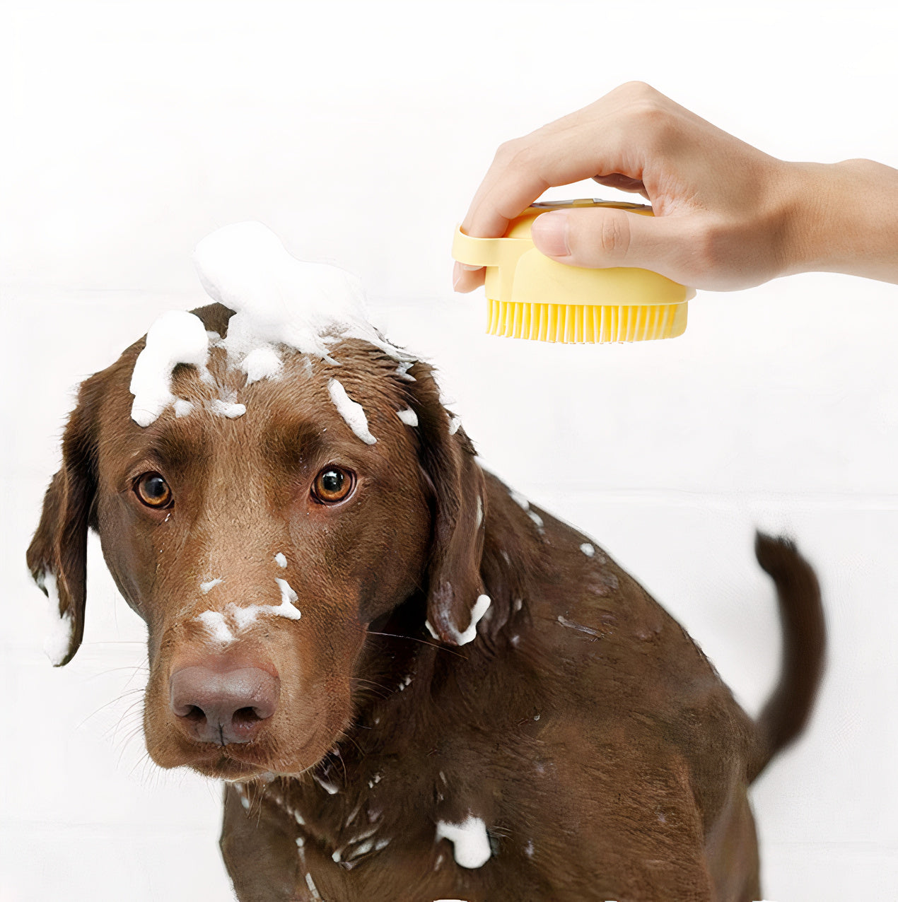 Pet soft silicone comb