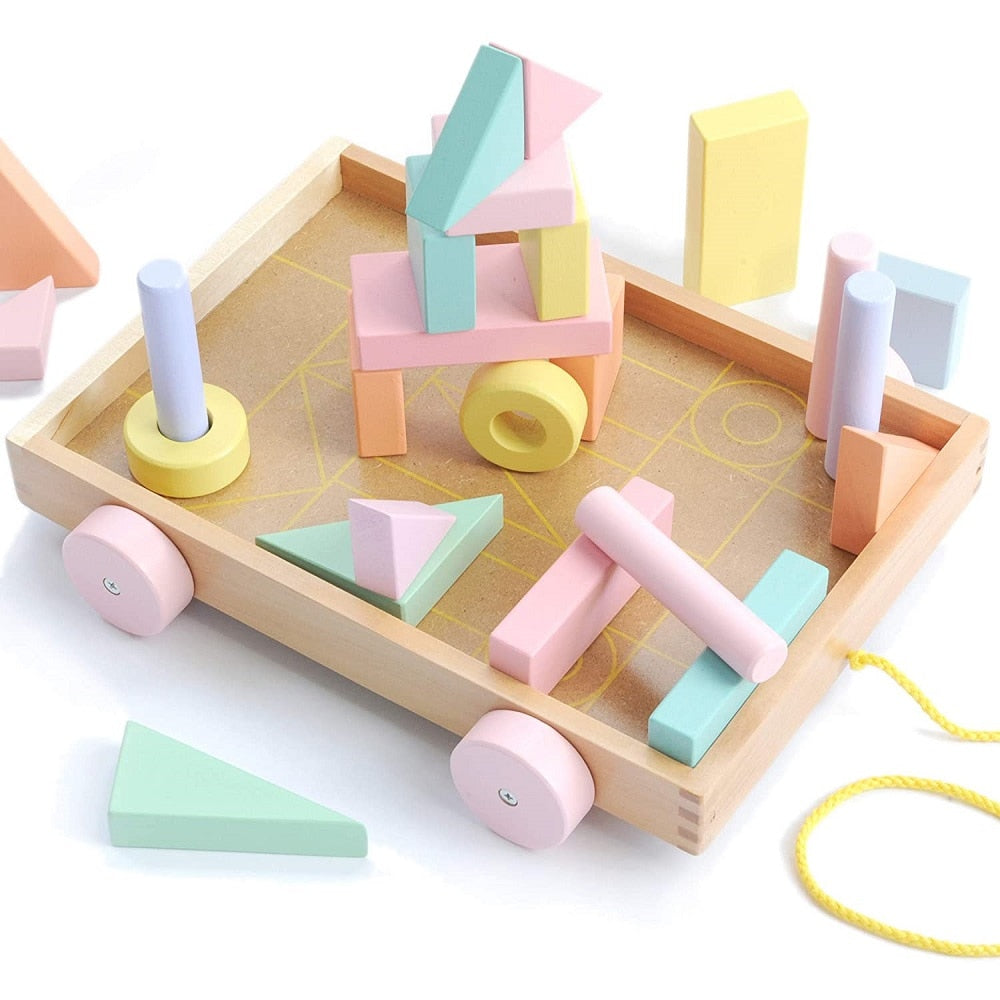 Montessori educational wooden toys