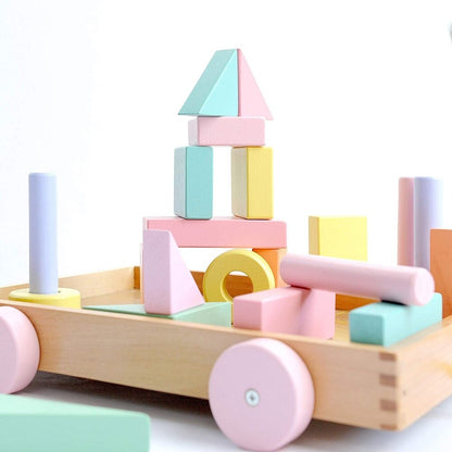 Montessori educational wooden toys